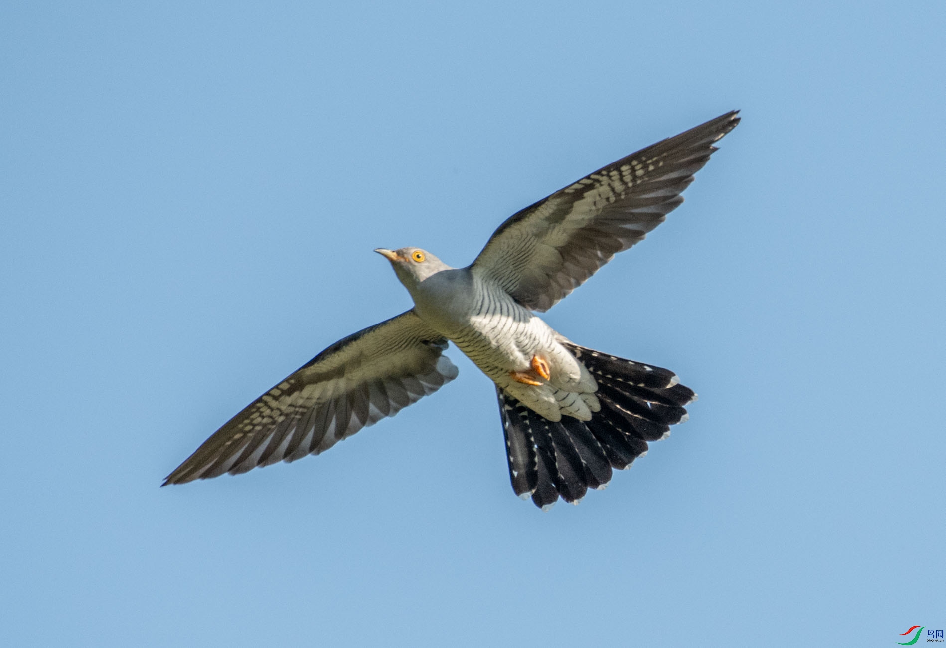 DSC_6112.jpg