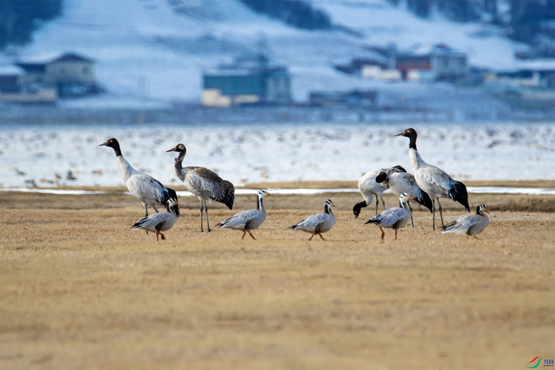 DSC_1446.jpg
