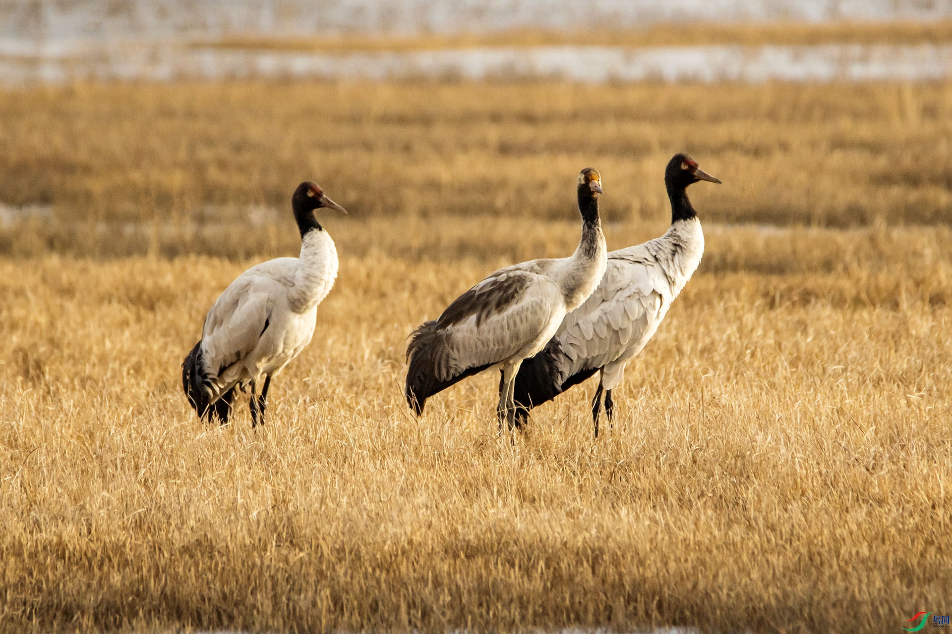 DSC_8684.jpg