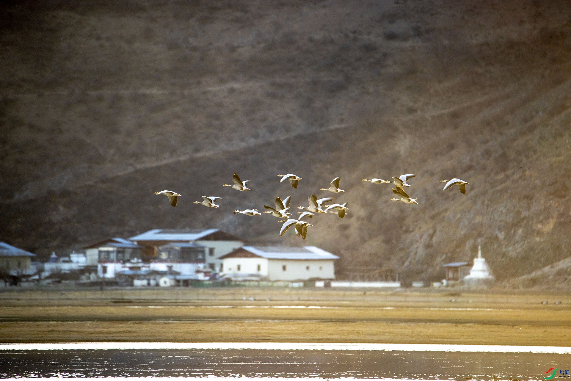 _DSC9043.jpg
