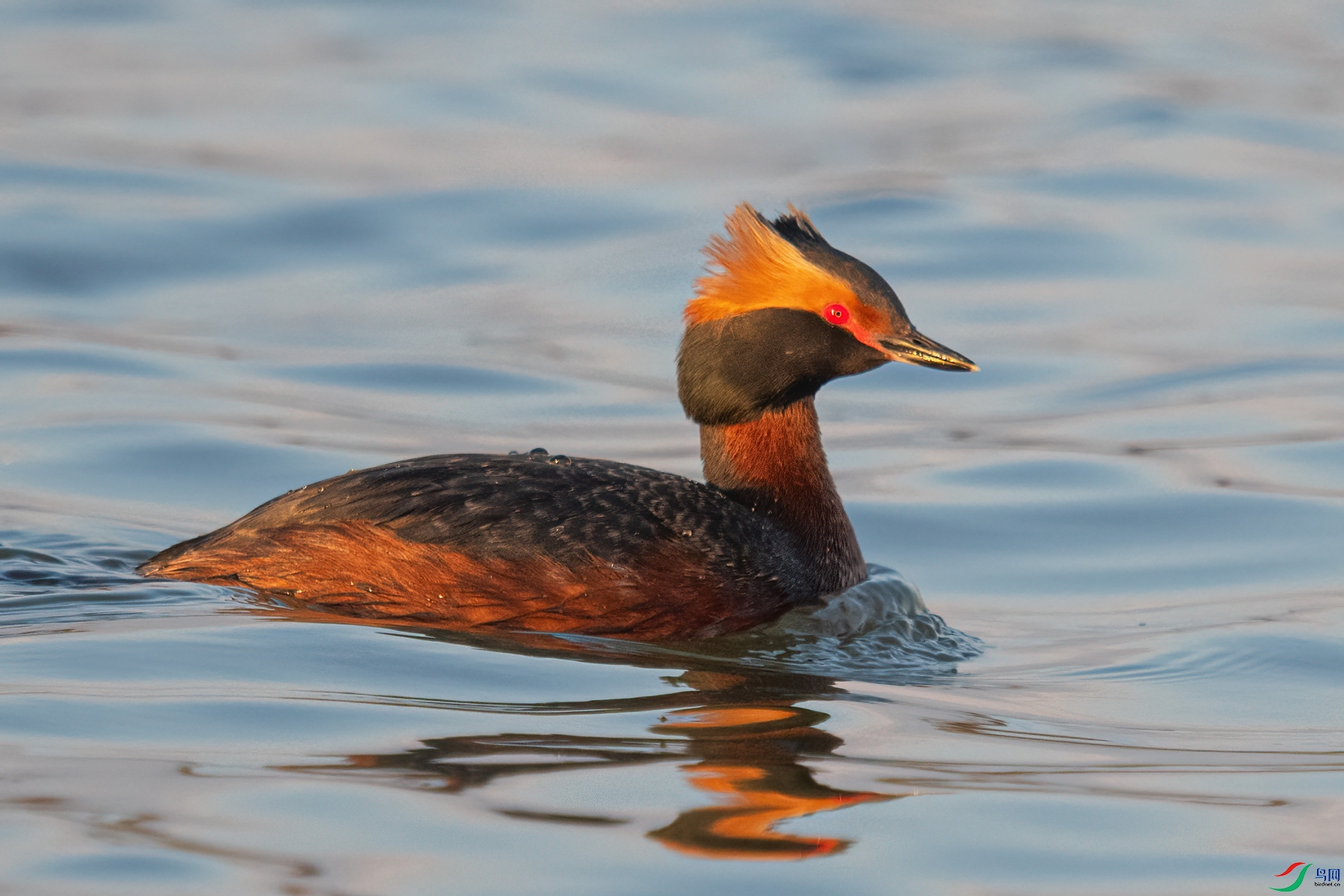 Ϧ���µĽ�PT