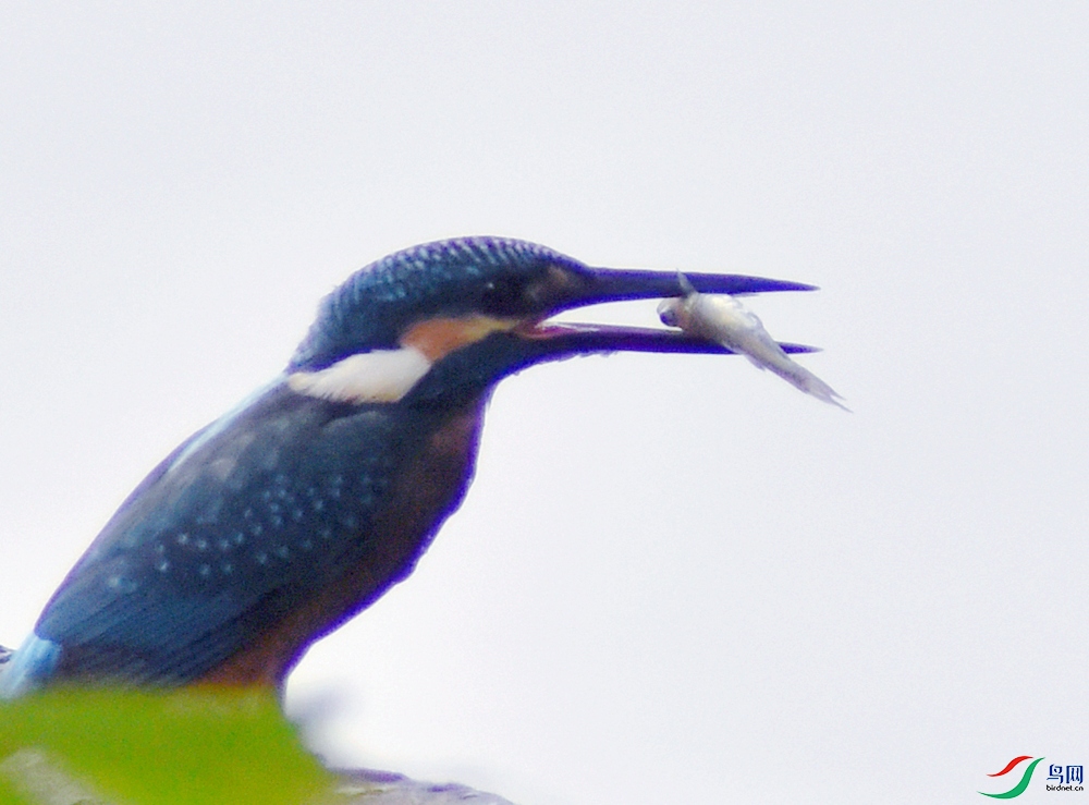_DSC5127_.jpg