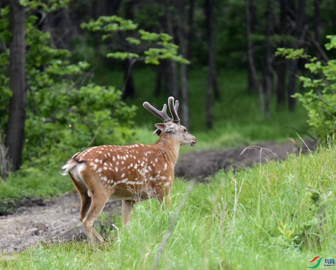 _DSC9273.jpg