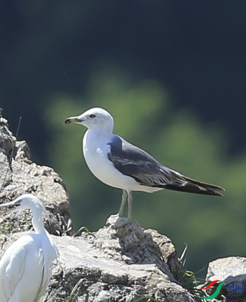 CS3U2820_��ͼ�� - ��.jpg