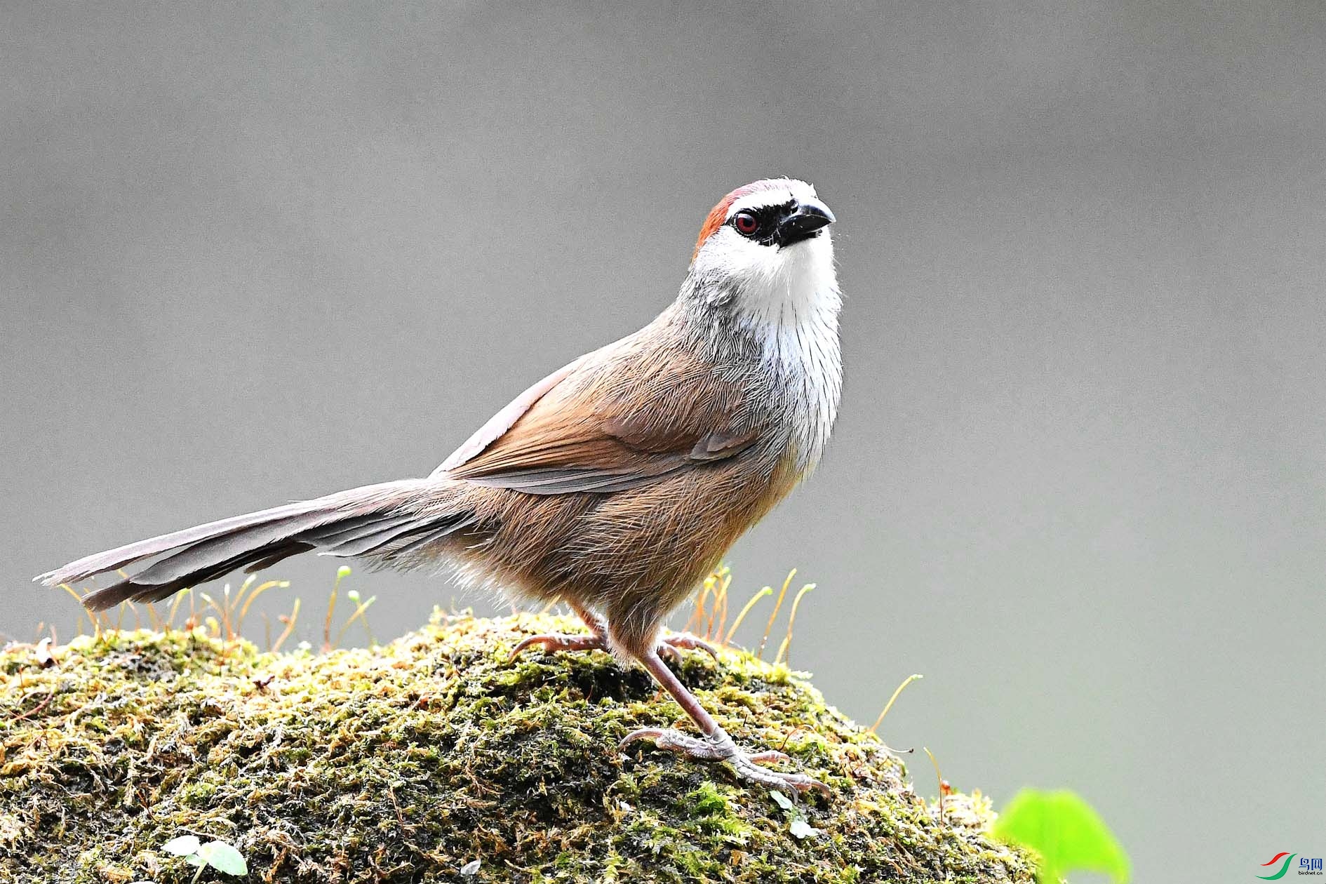 DSC_3699_����.jpg