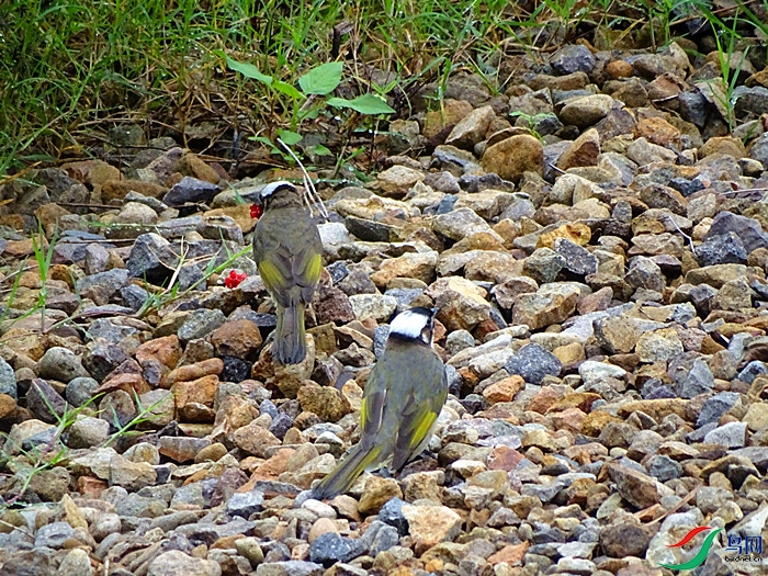 DSC02072.JPG