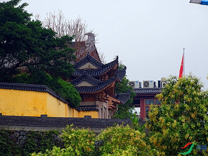 DSC02073.JPG