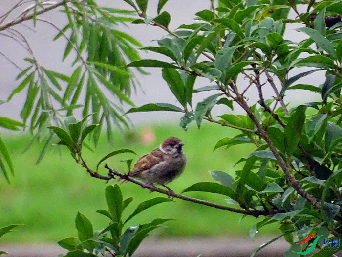 DSC02078.JPG
