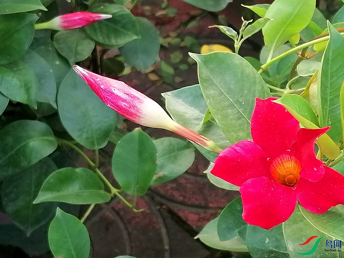 ΢��ͼƬ_20220608155942.jpg