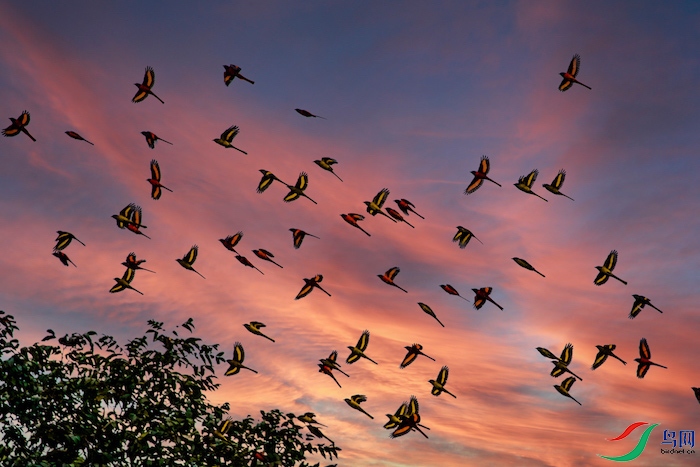 9J8A7435-3.jpg
