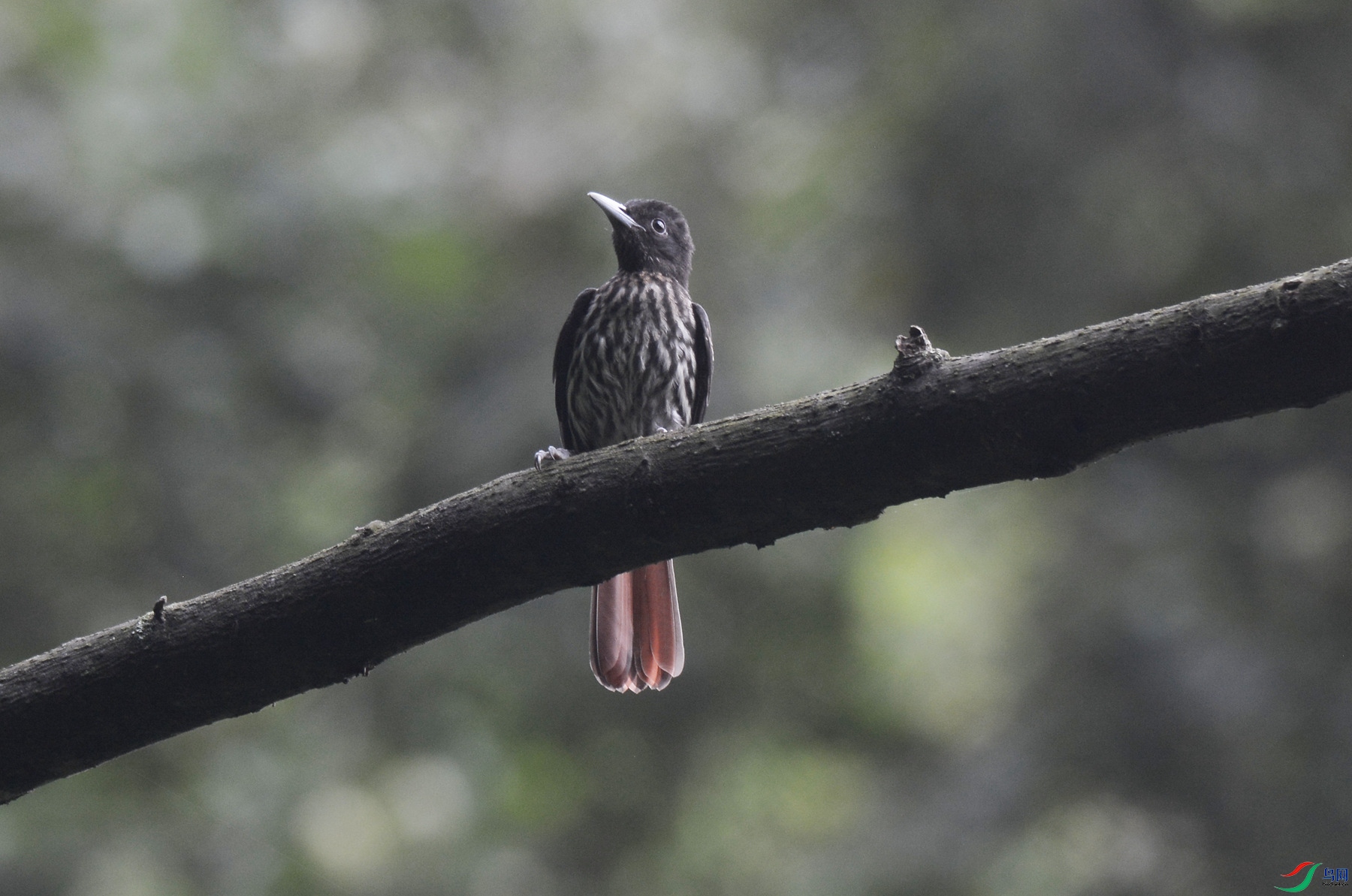 DSC_2539P_�㶫.jpg