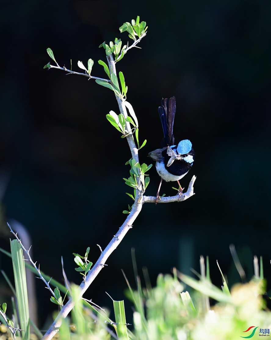 DSC_3803_��ͼ��_����222.jpg