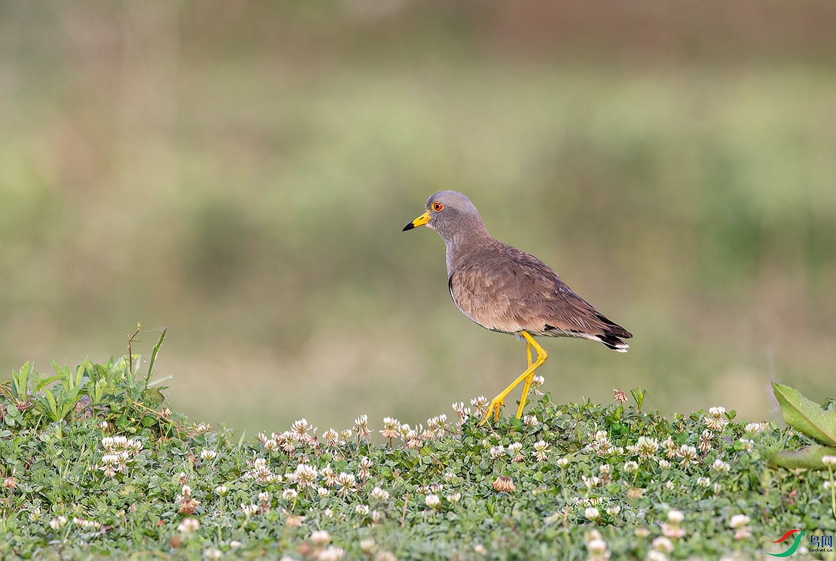 B79T3623.jpg