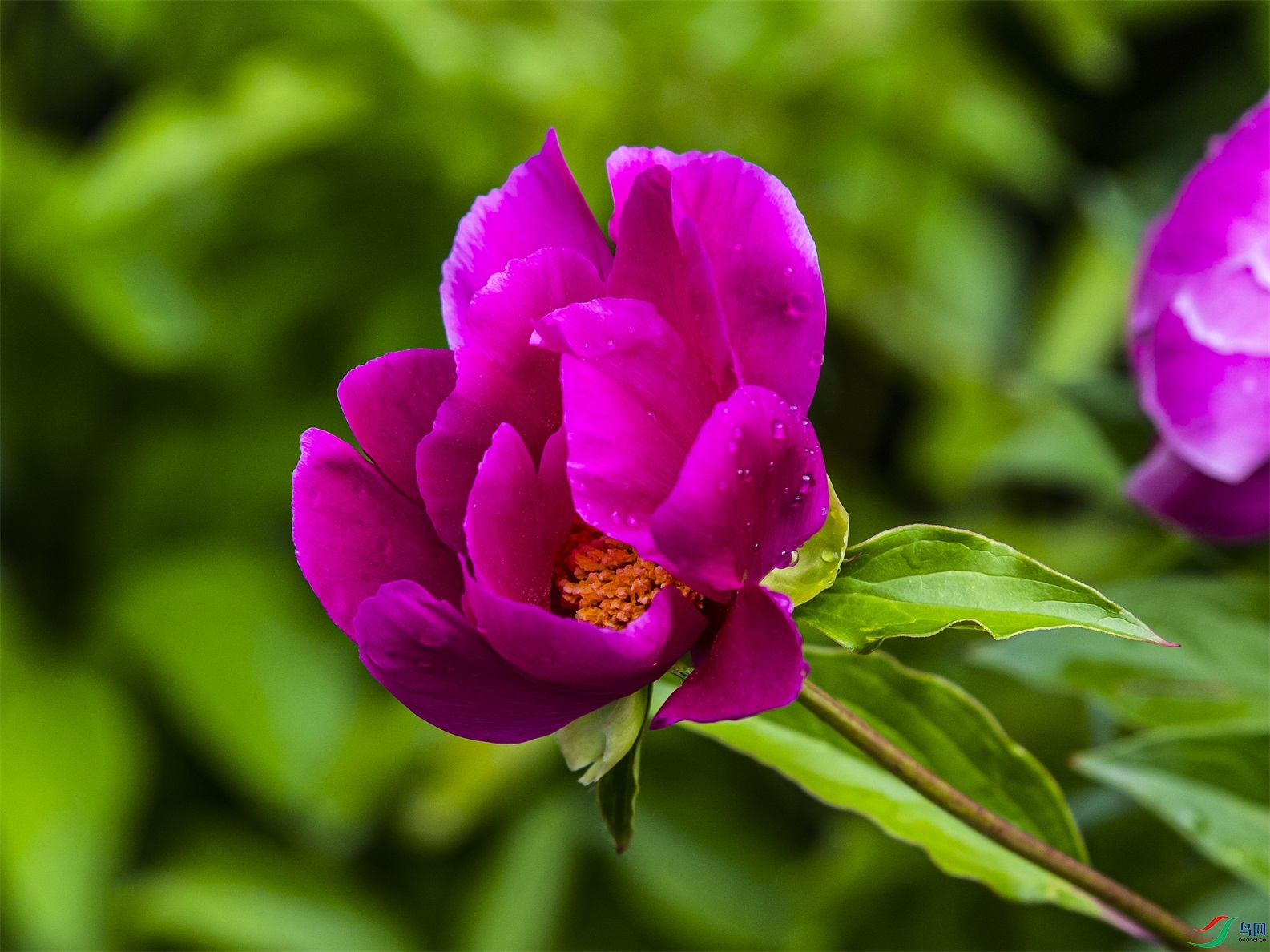 086 ����1.jpg