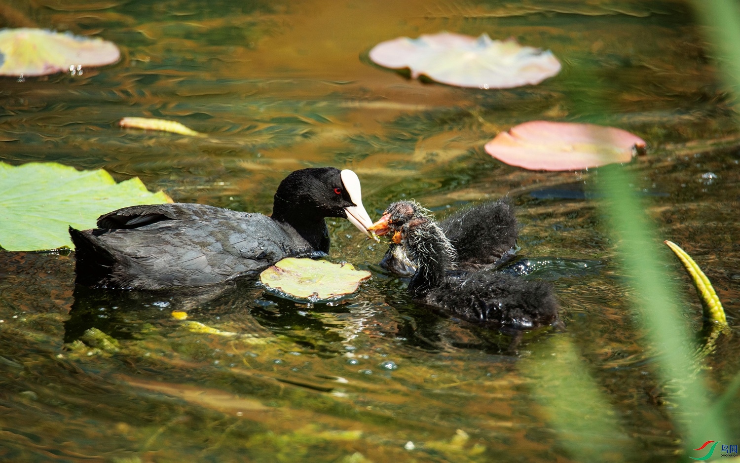 ���� ��.jpg