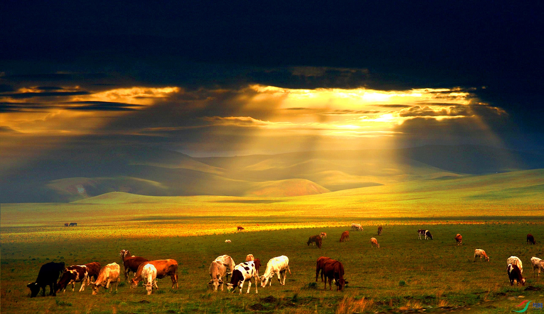 DSC_0489 ����.jpg