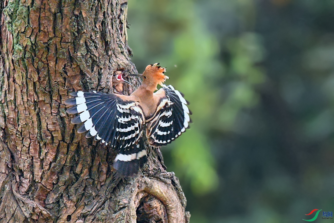 DSC_4159aa.jpg