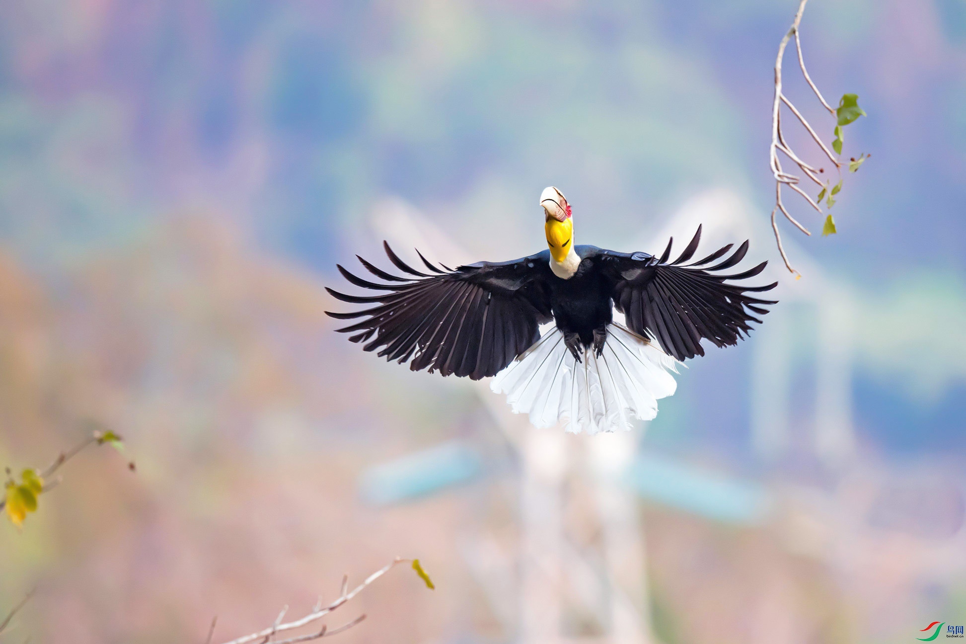 ��Ȼ���  ������  �������Ϭ��  13653817008  ����֣��==.jpg