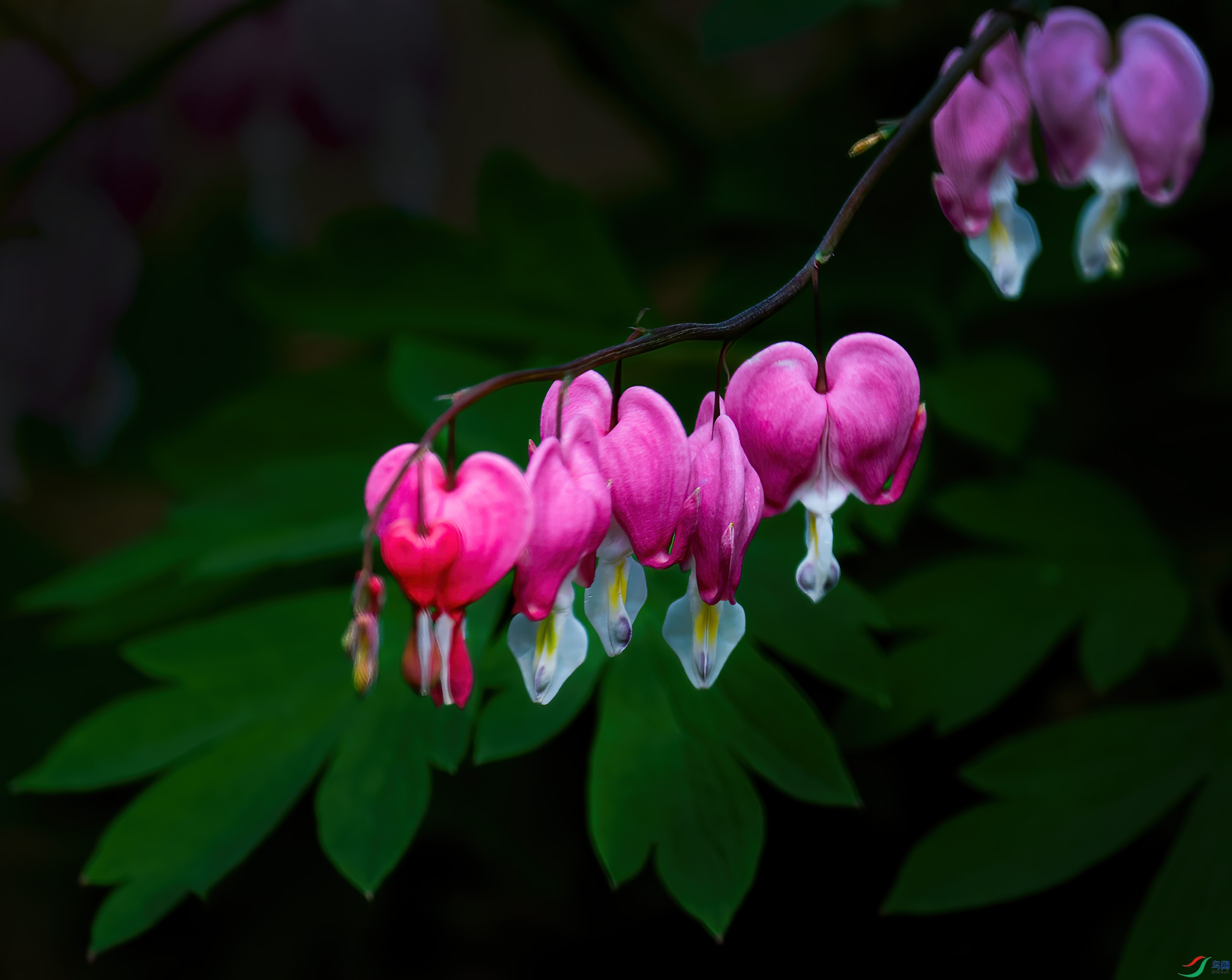 DSC08258.jpg