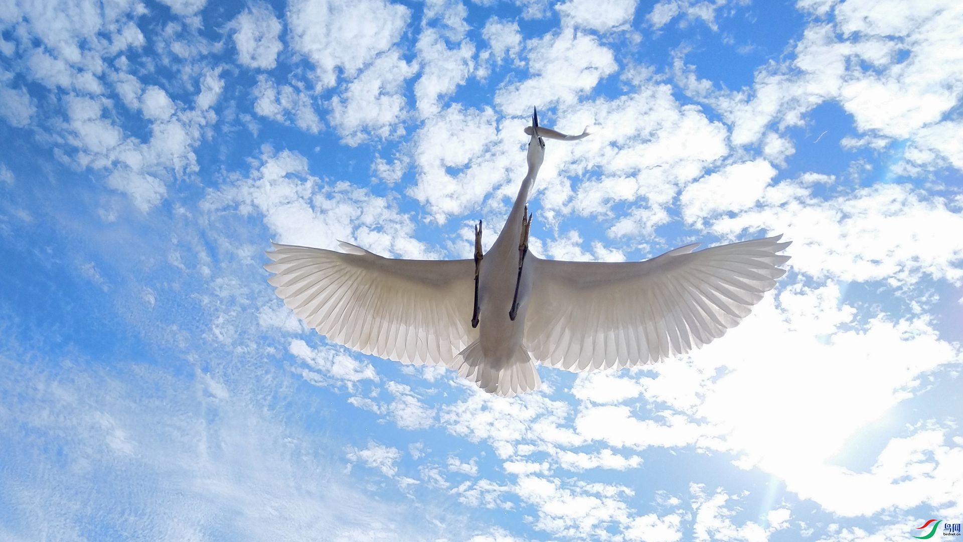 ���ض���