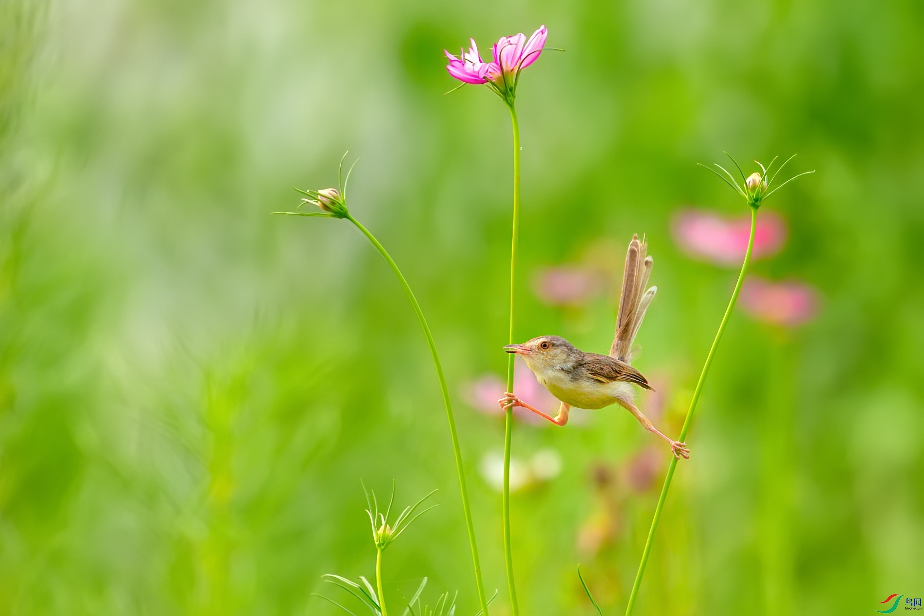 CI7U9265-8.jpg