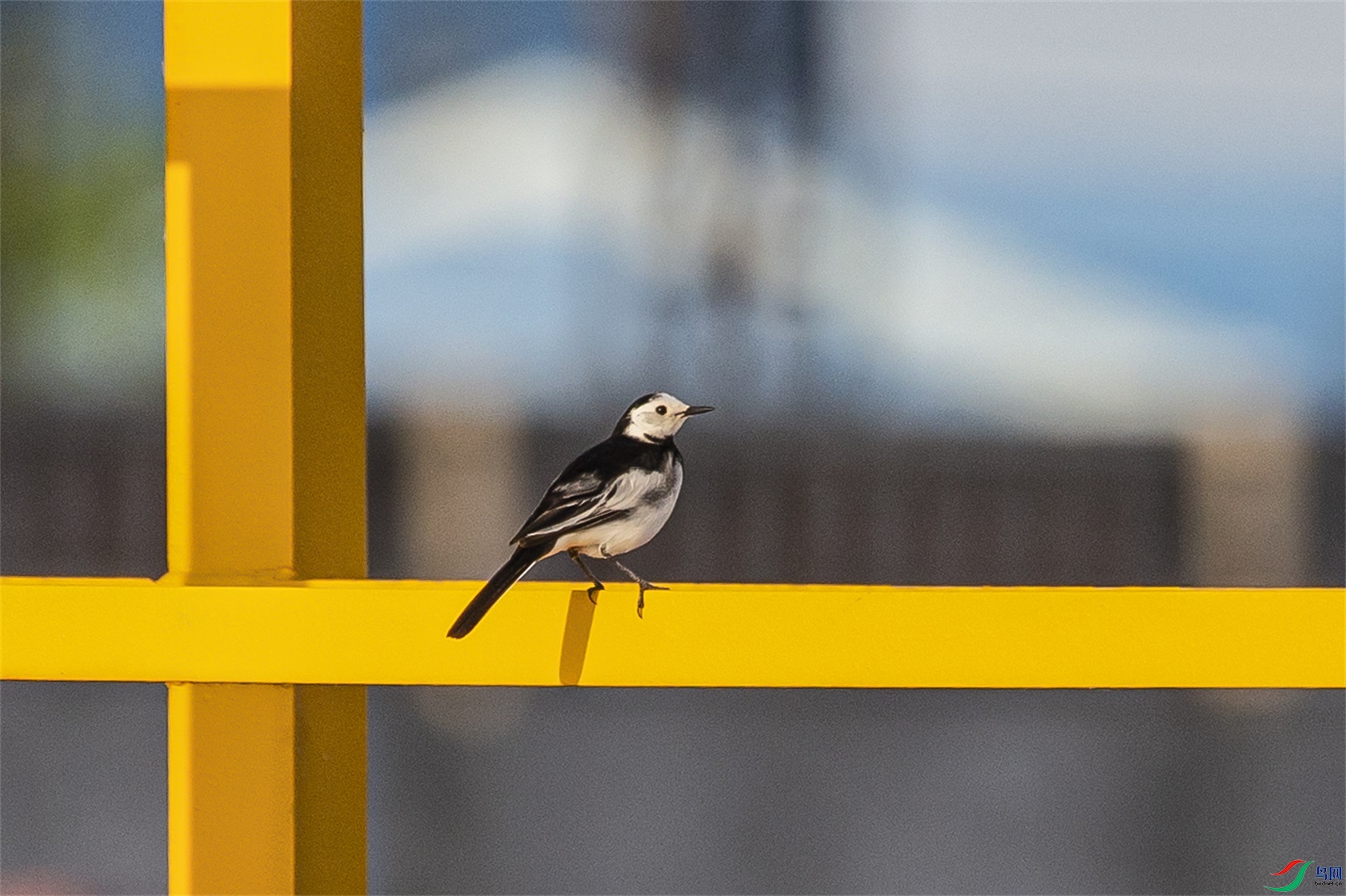 DK7T0011 ����1.jpg