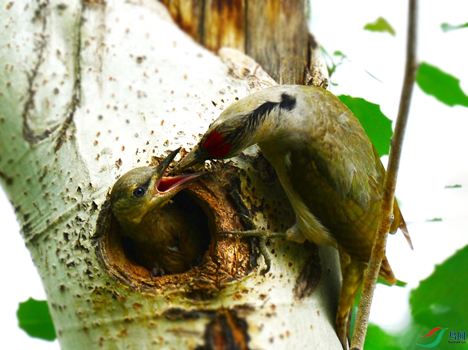 DSC_4218 .jpg