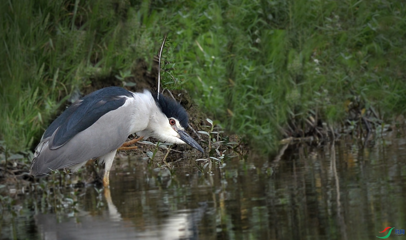 DSC_7512.jpg