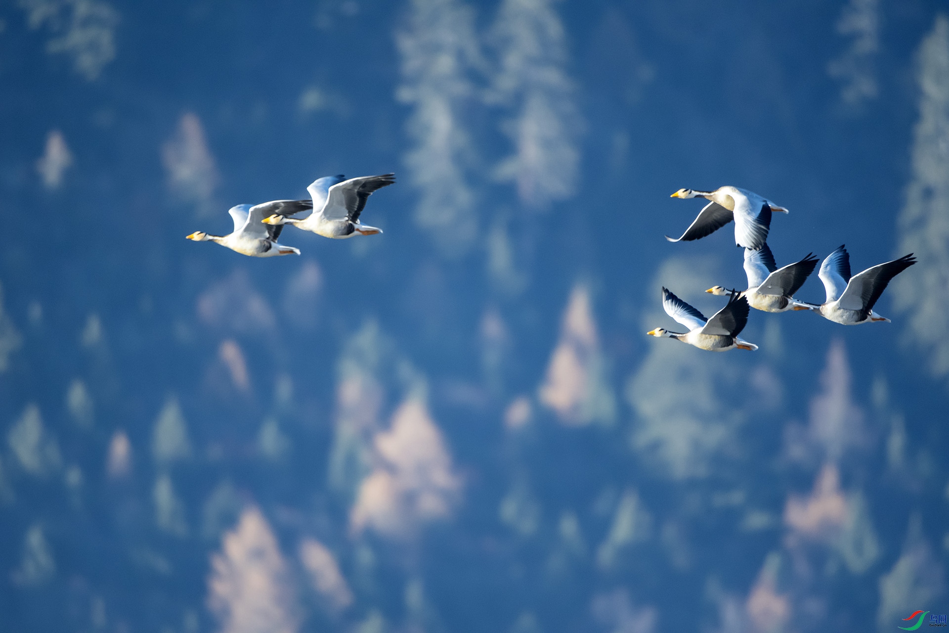 DSC_3937.jpg