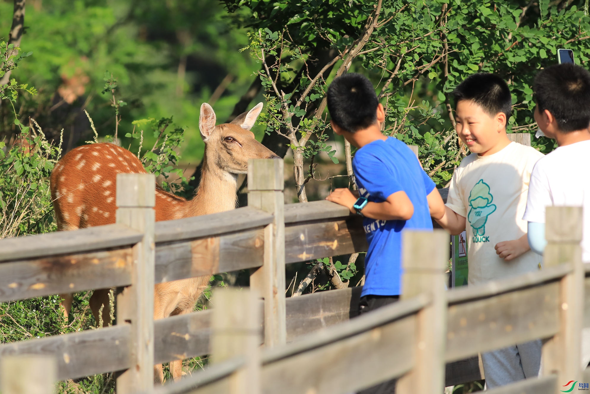 ��ͯ��÷��¹֮��