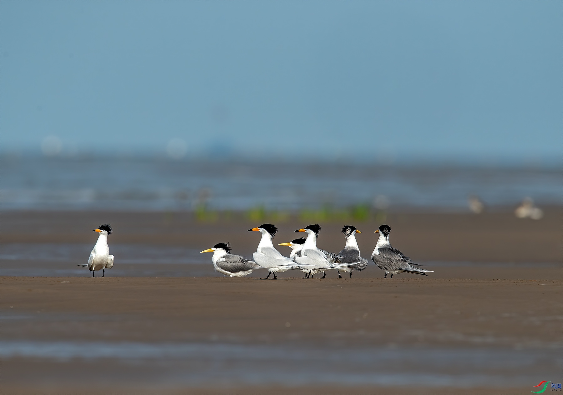 DSC_4434 m.jpg