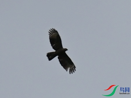 DSC_5415.jpg