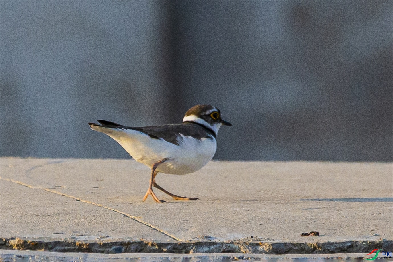 DK7T0048 ����1.jpg