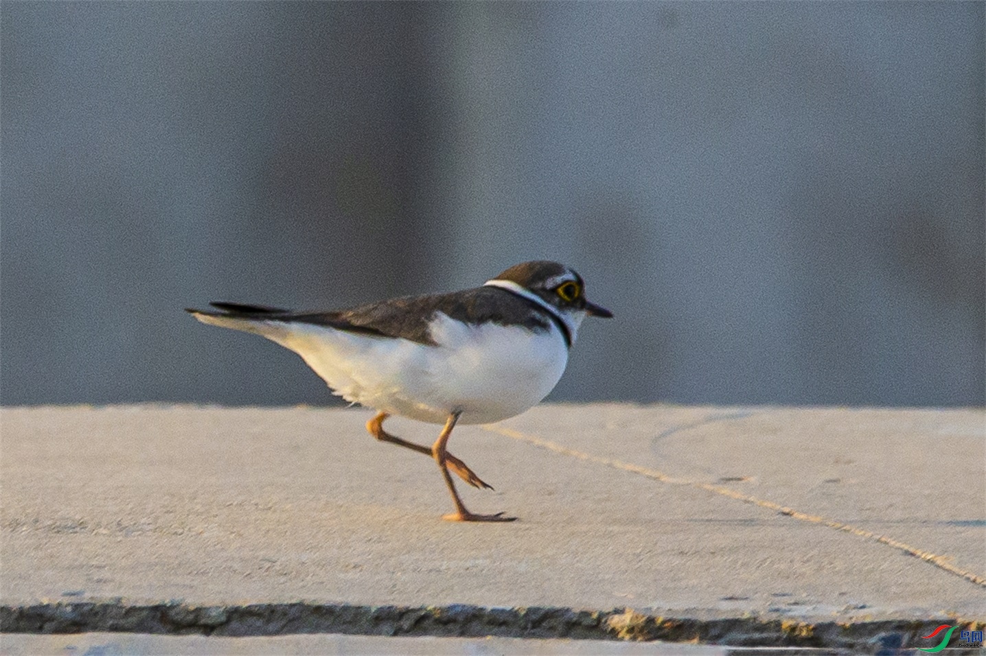 DK7T0046 ����1.jpg