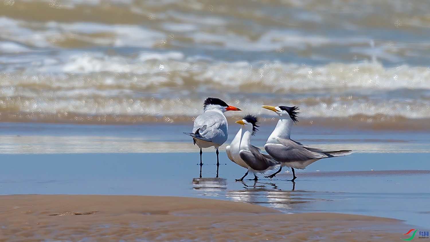 _FQ_8183-01.jpg
