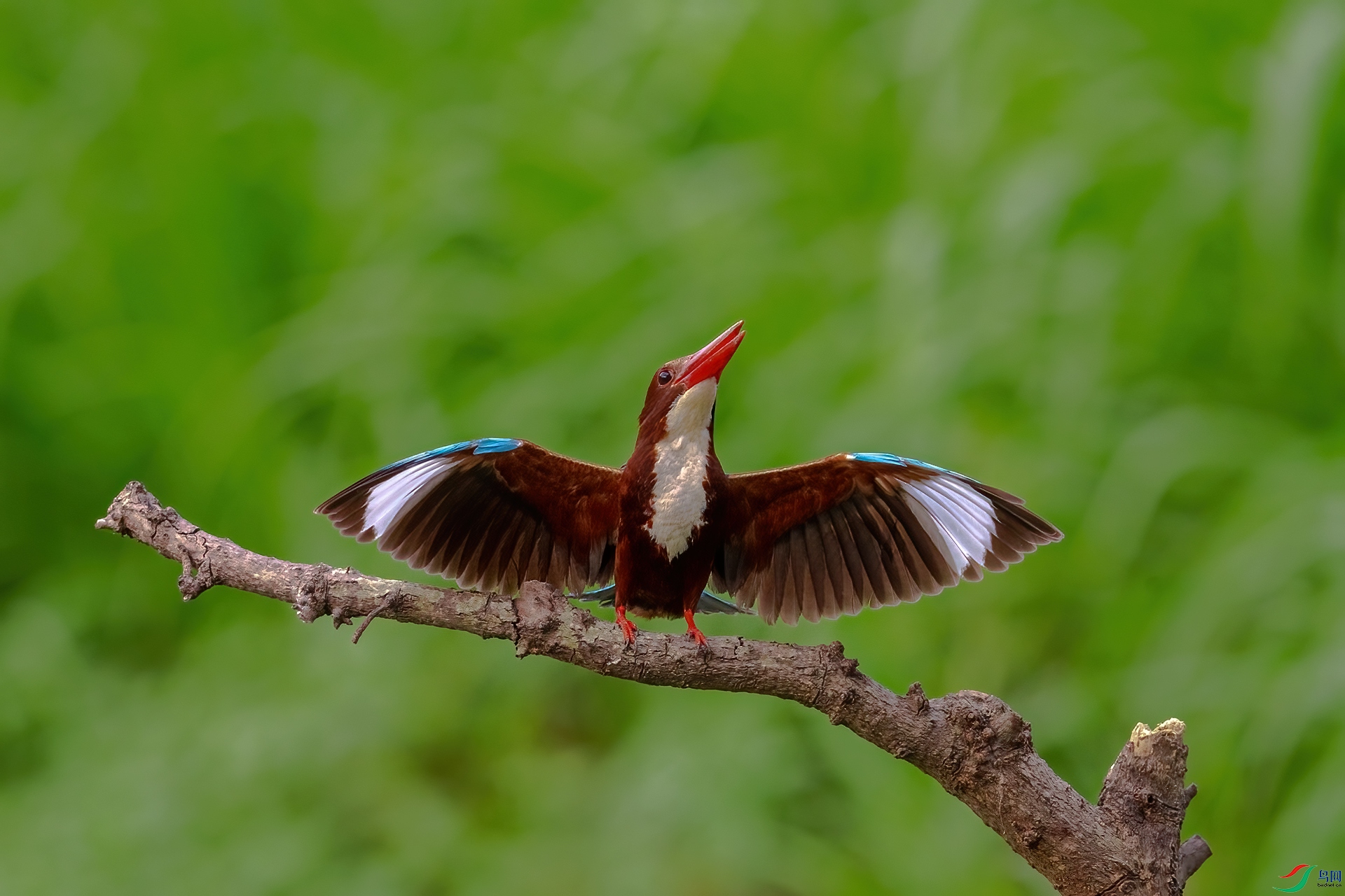 AV2U4085-�༭ ����.jpg