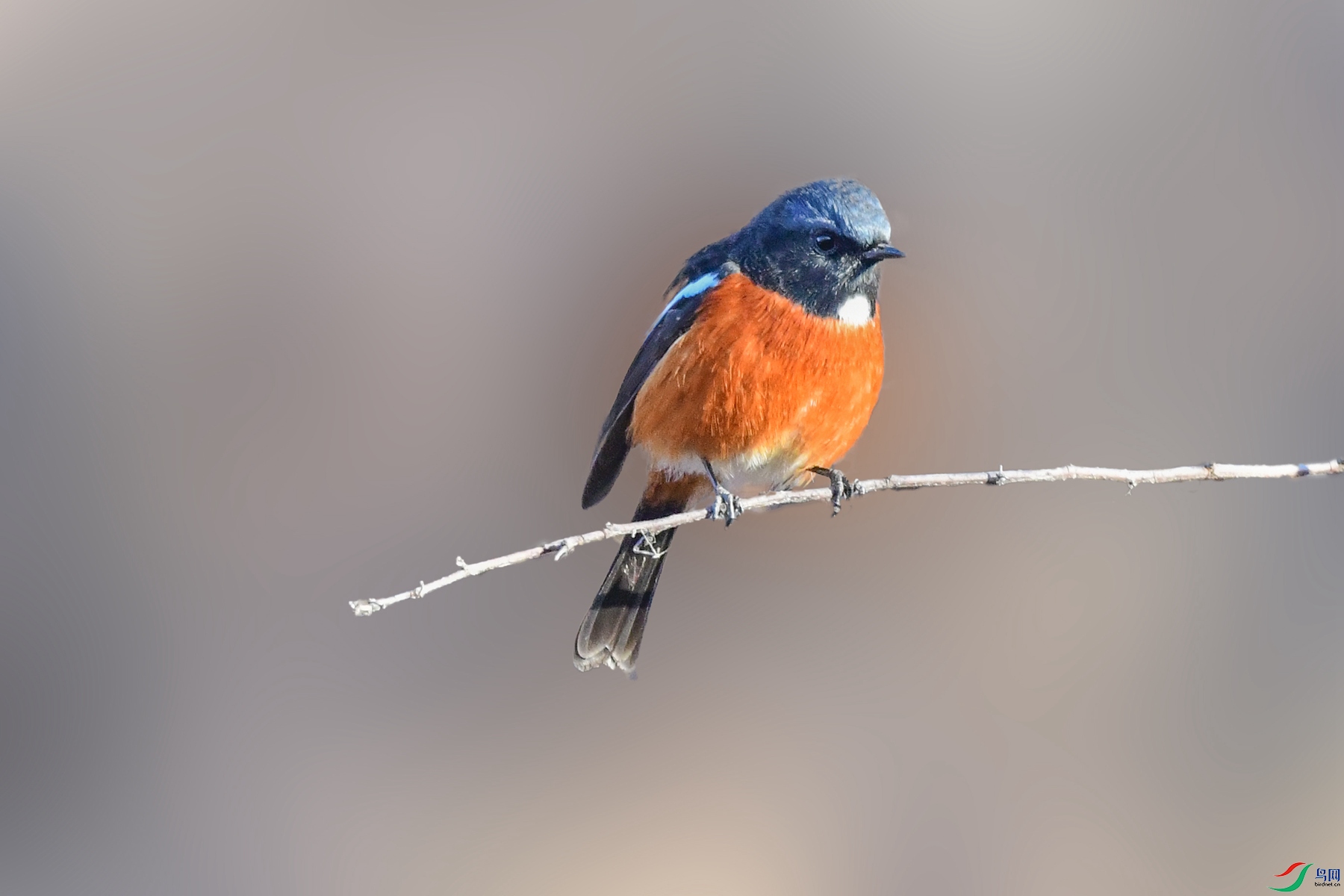 DSC_4700P_�㶫.jpg