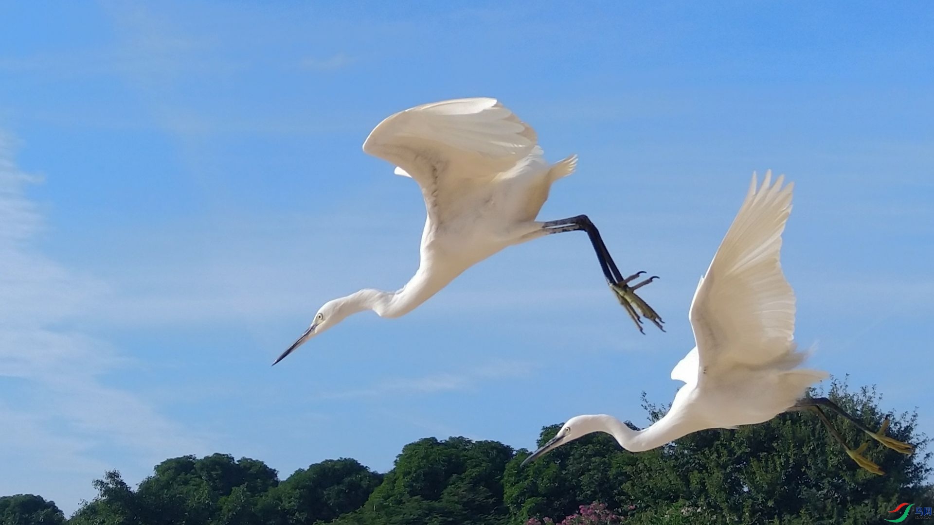 �ֵ�������