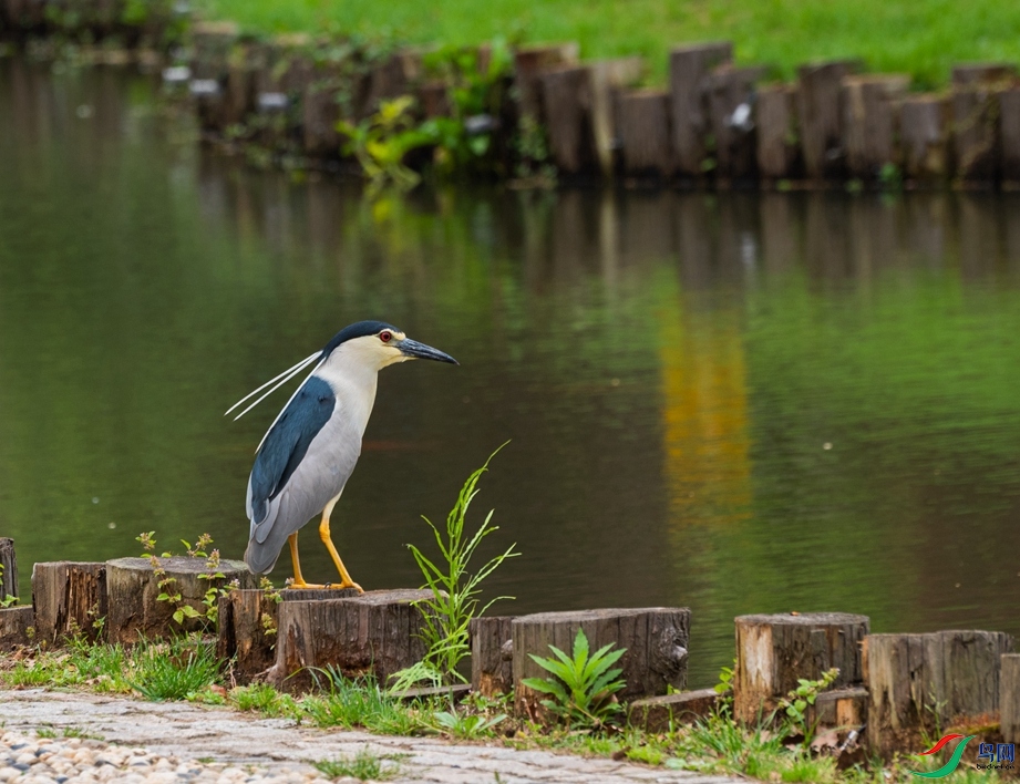 DSC_3239.jpg