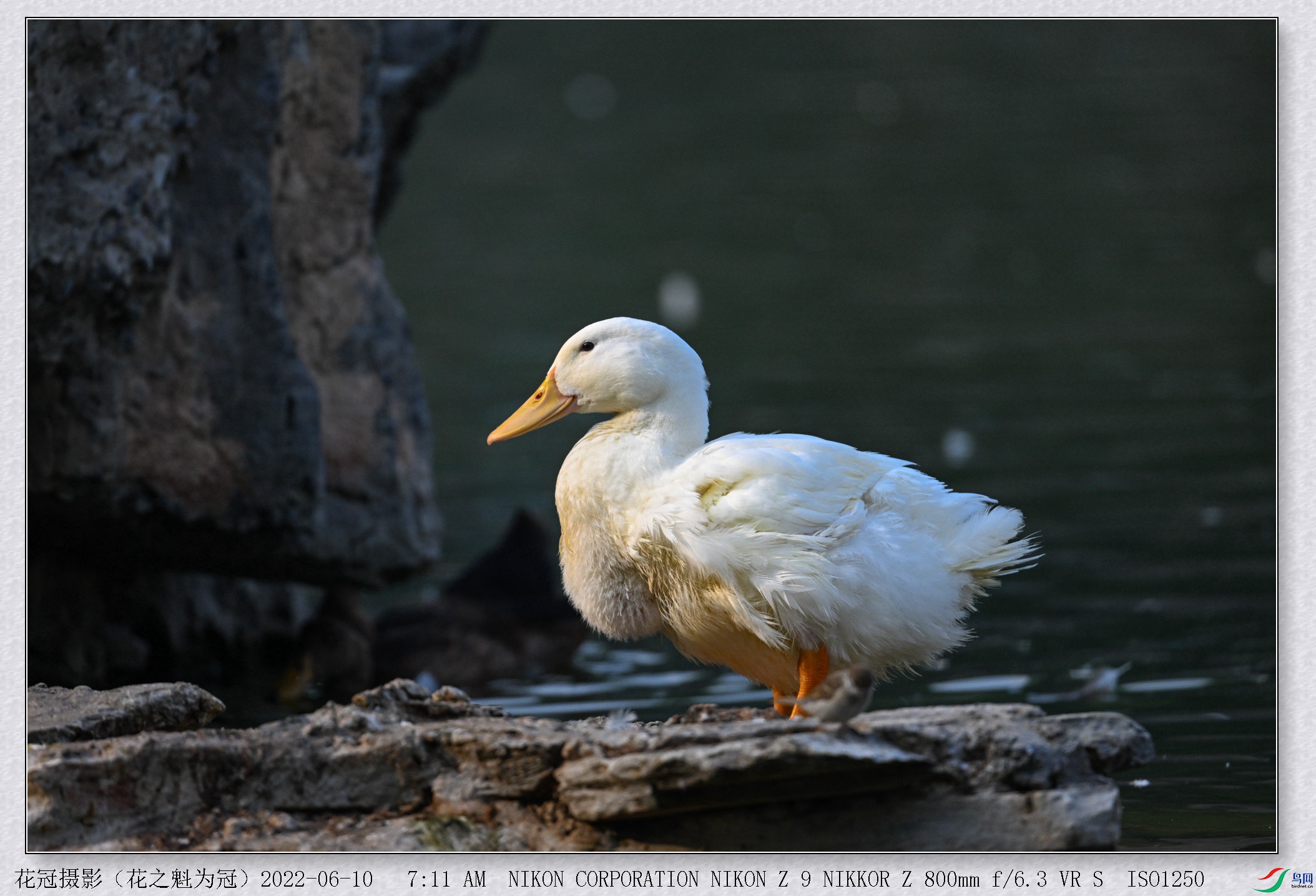 DSC_0734B-1_����_����.jpg