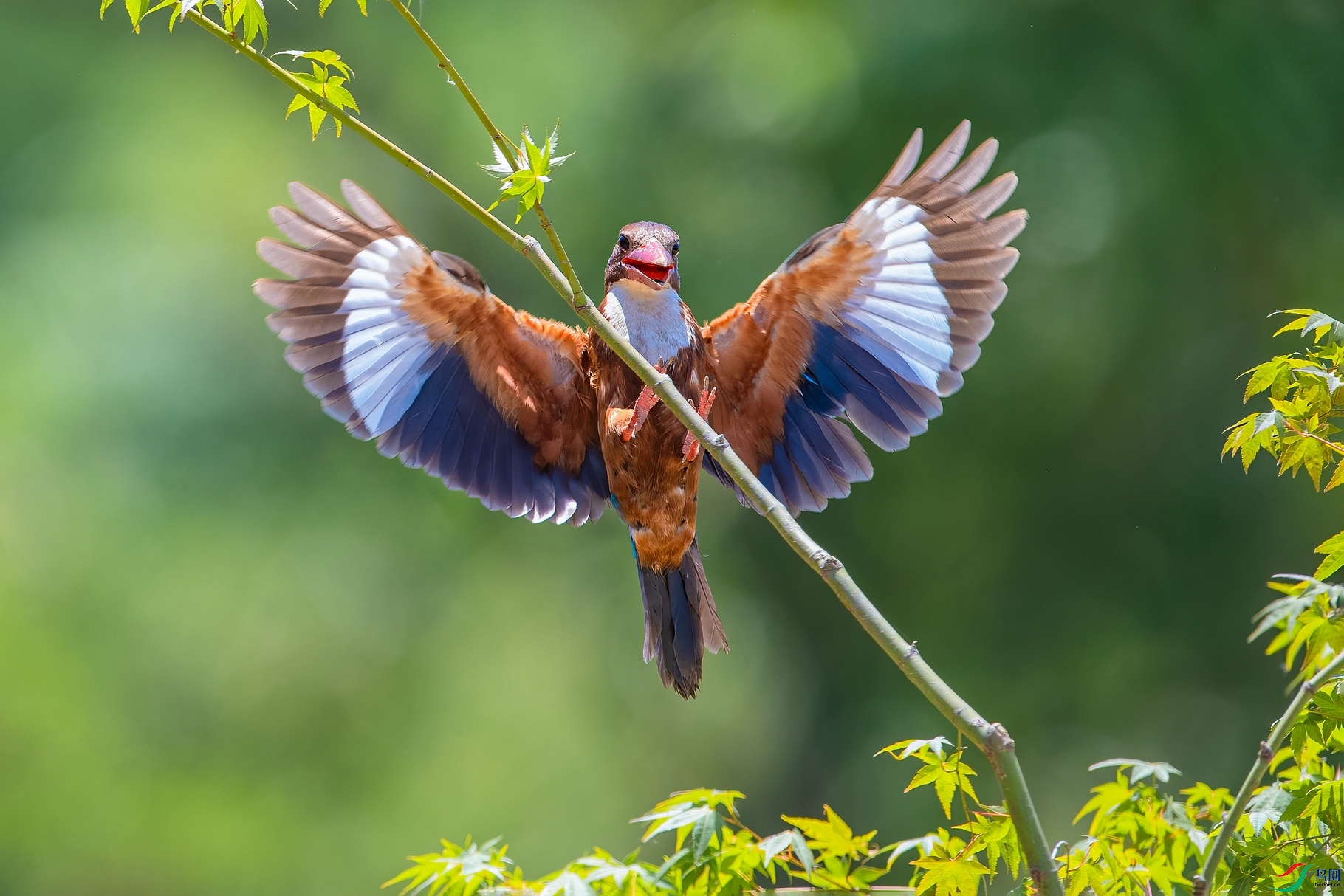 ��ƬDSC_5822.jpg