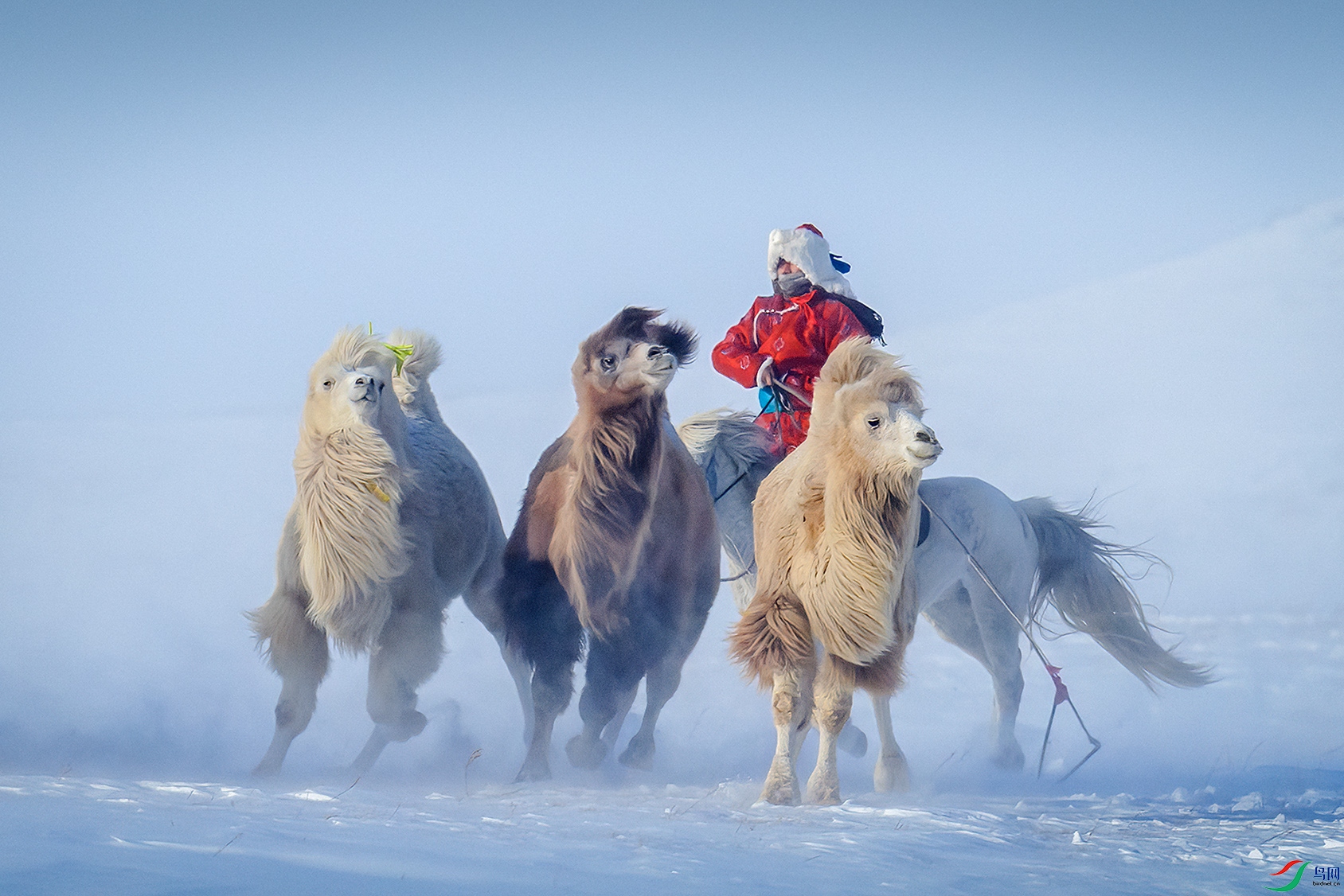 ���������ɹ�������ͳ��