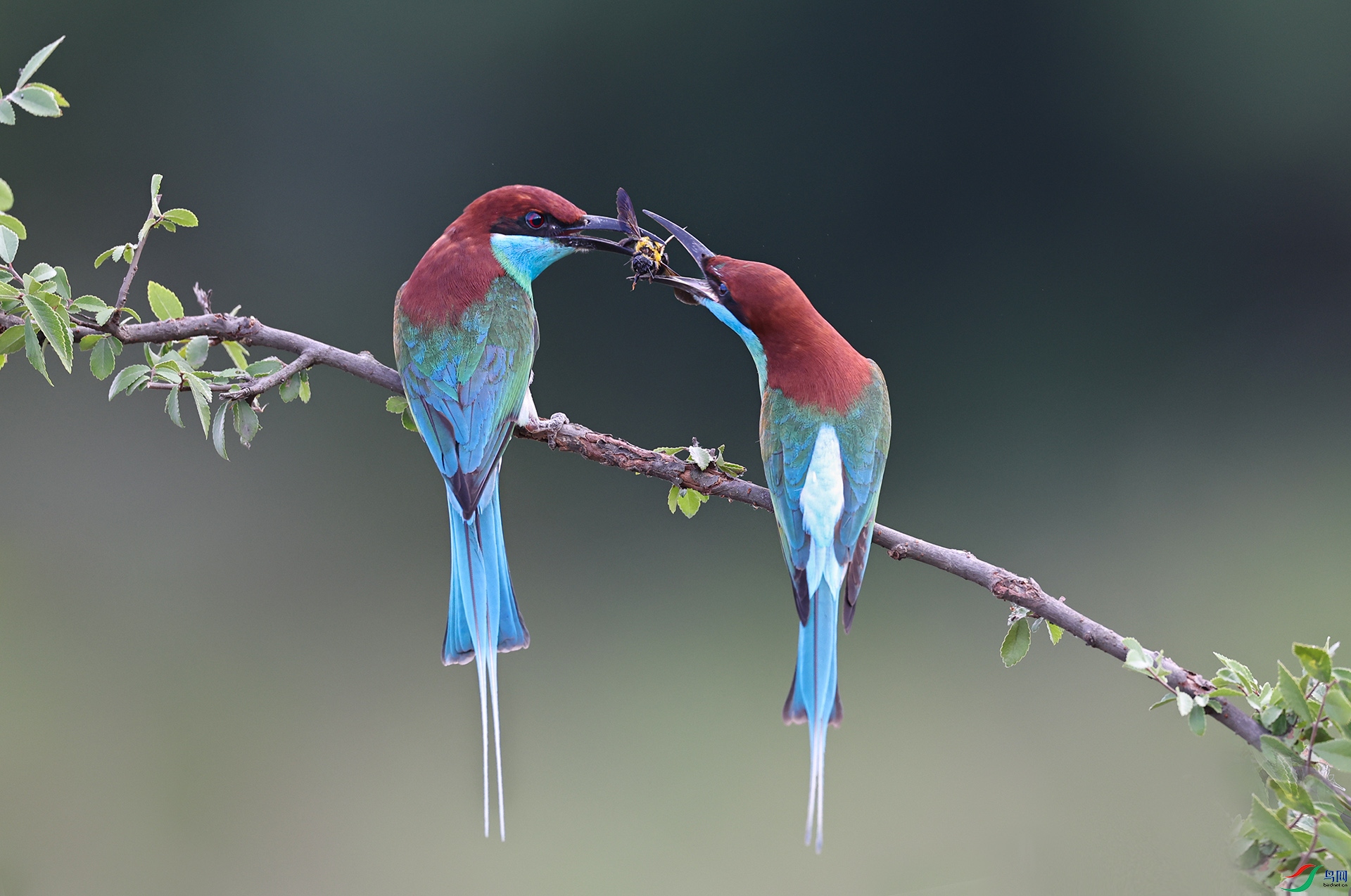 ����083A6917.jpg
