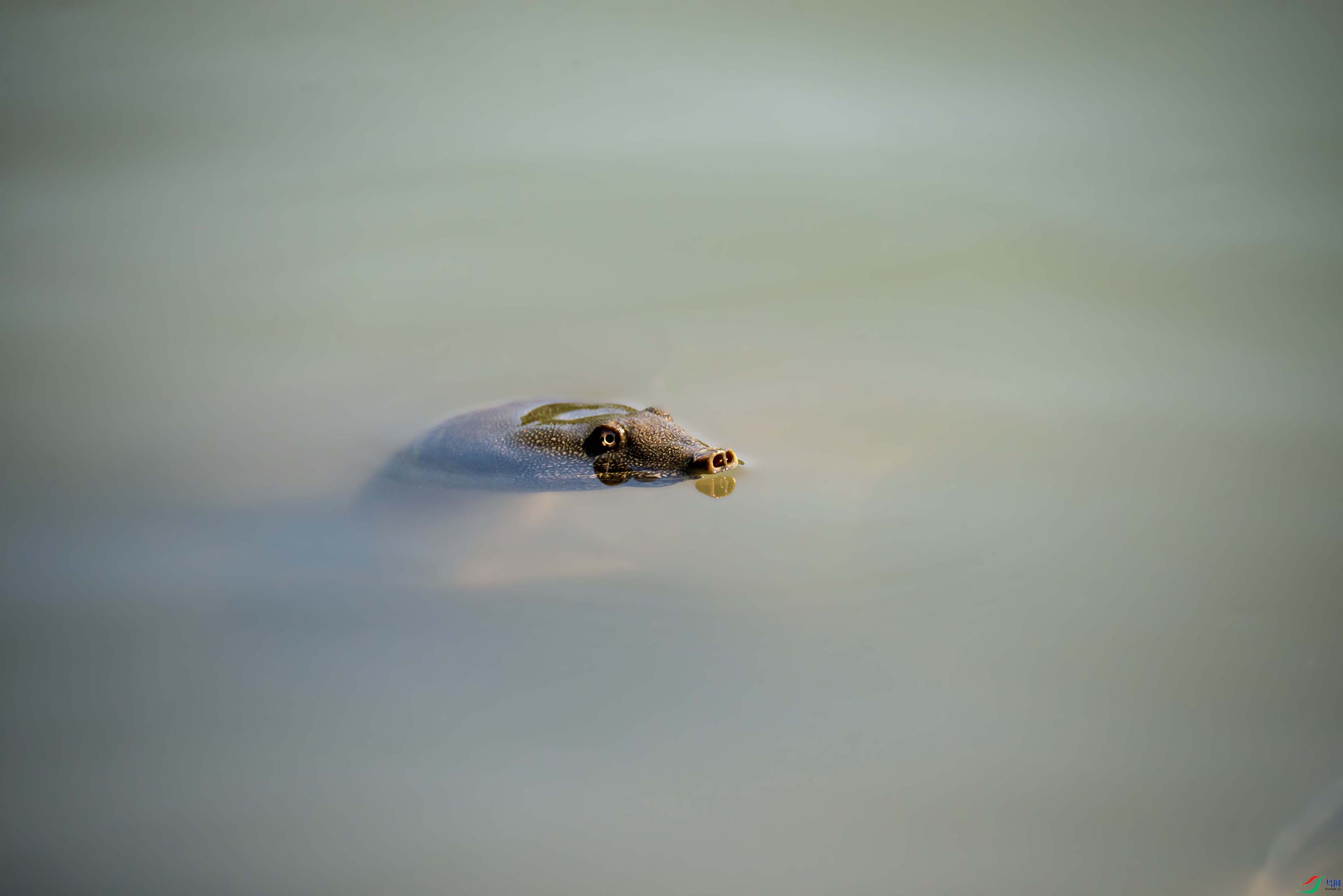 DSC_7929.jpg