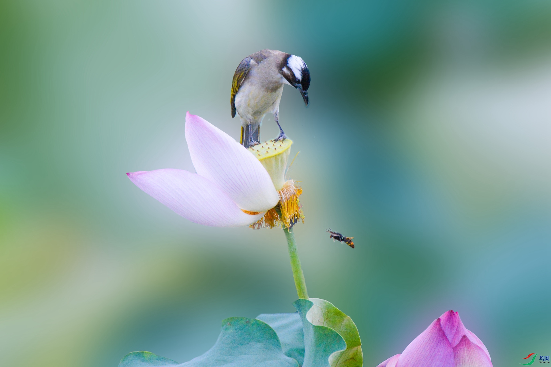 DSC_5837P_�㶫.jpg