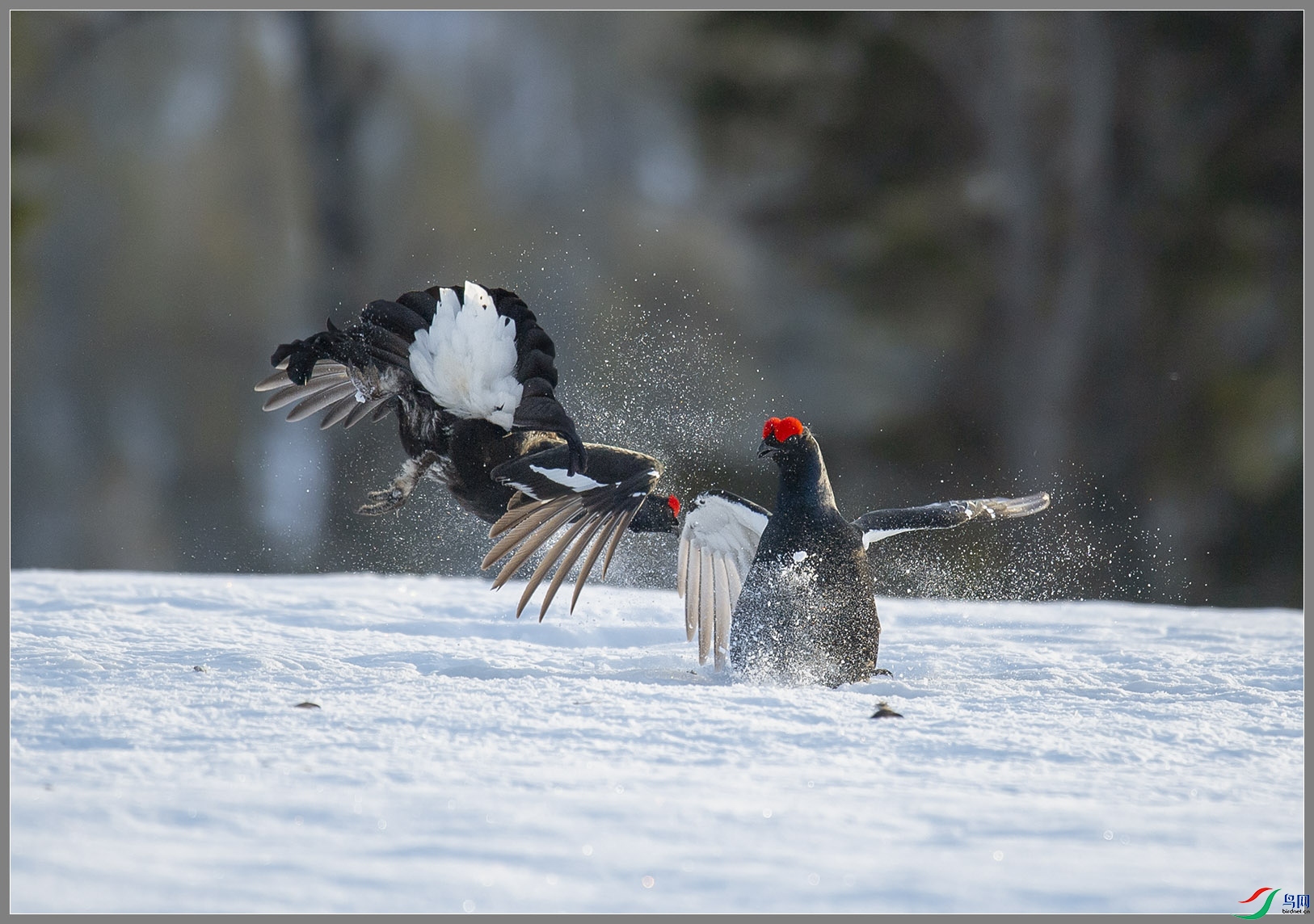 ��DSC_3450.jpg