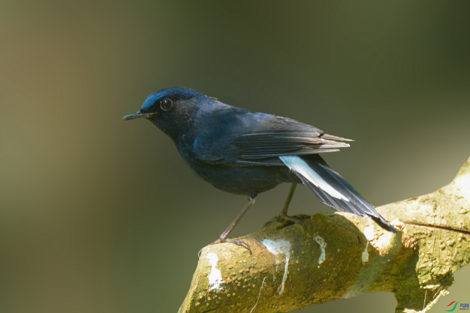 DSC_1375_P_����.jpg