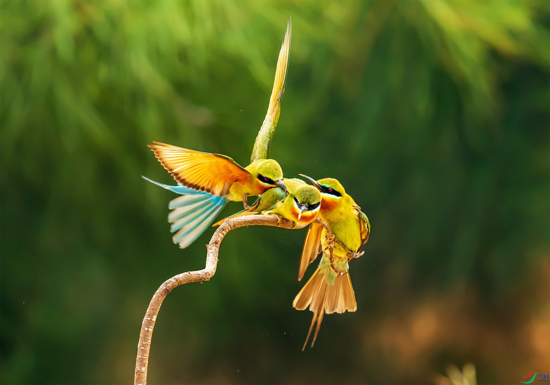 WGB_9988-1.jpg