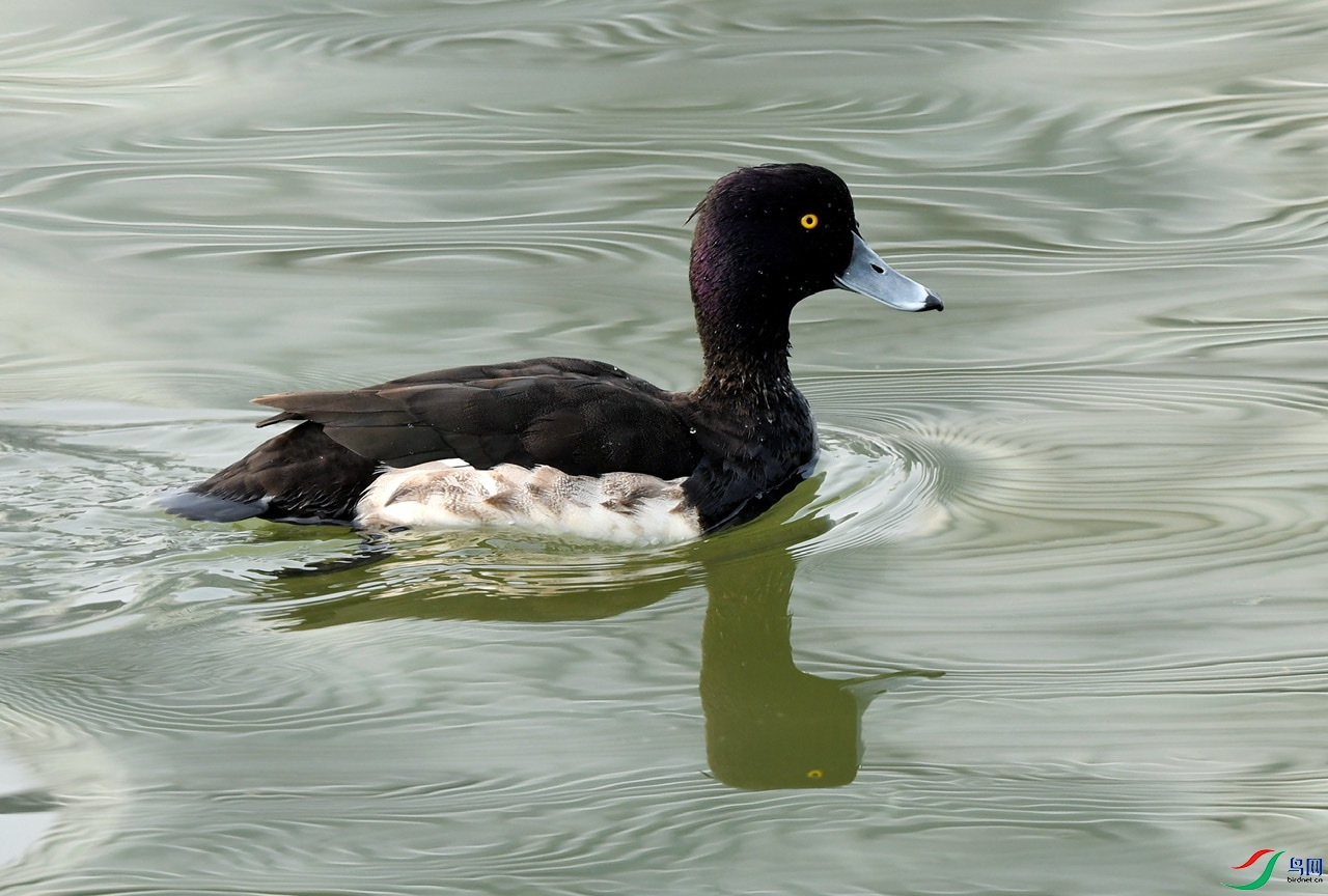 824C5EC5-857C-425B-AEAF-8BADEE394B84.jpeg