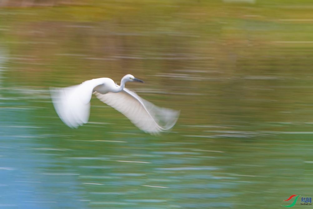 _DSC9504a.jpg